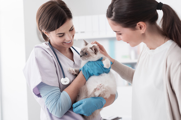 Consulenze comportamentali cani gatti Cisano Bergamasco