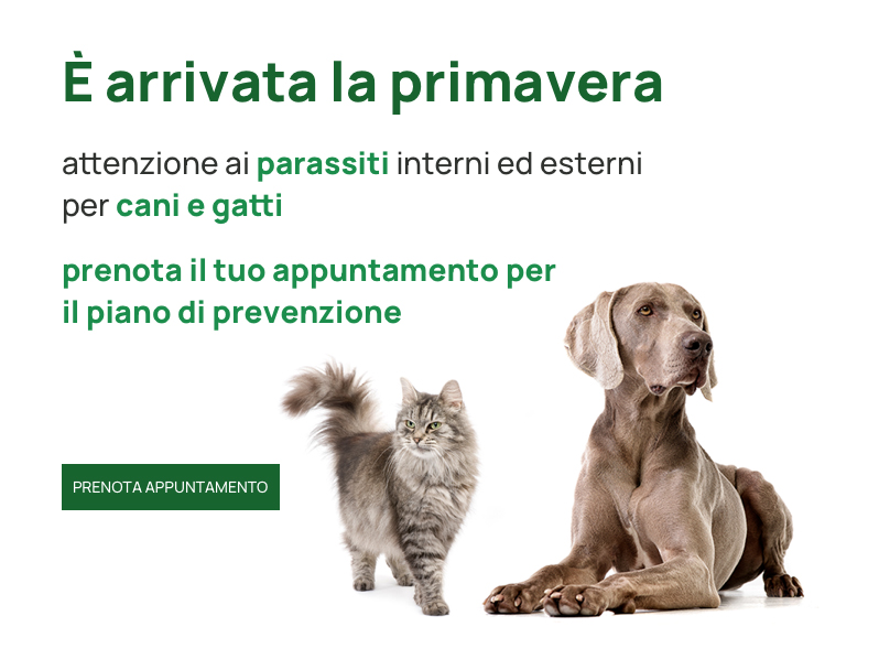 È arrivata la Primavera - Prenota il tuo appuntamento di prevenzione