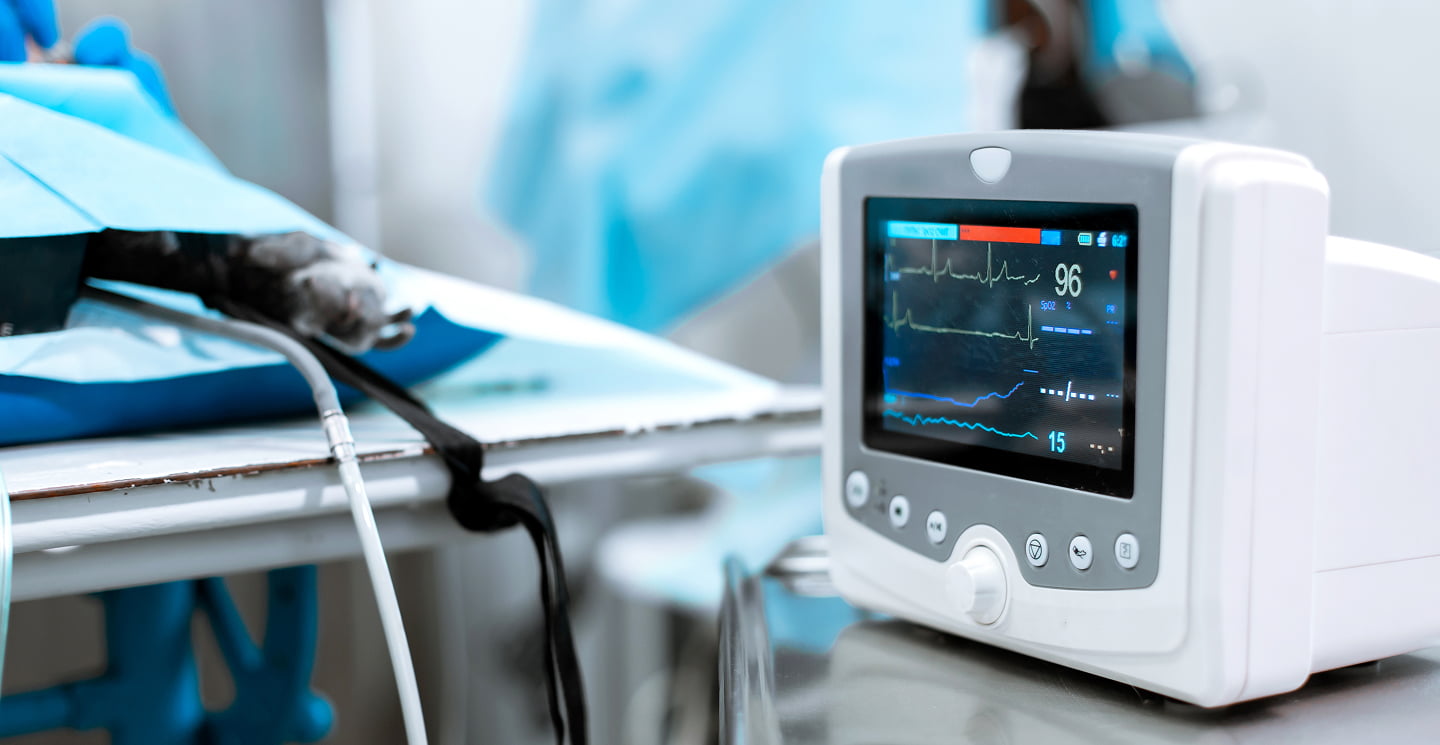 Monitor medico in ambiente veterinario, primo piano su schermo che mostra pulsazioni e linee vitali, e sullo sfondo sono presenti le apparecchiature per effettuare tutti gli esami cardiologici del caso.